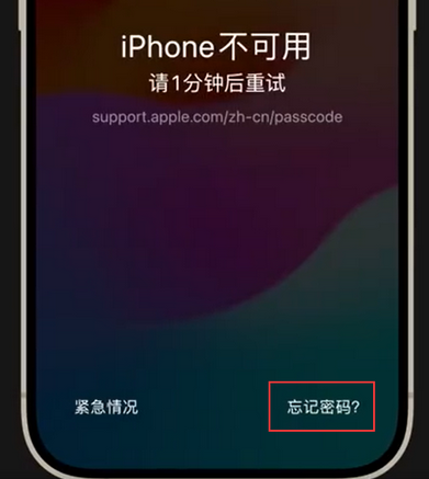 西峰苹果手机密码维修分享iPhone忘记了刚设置的密码 